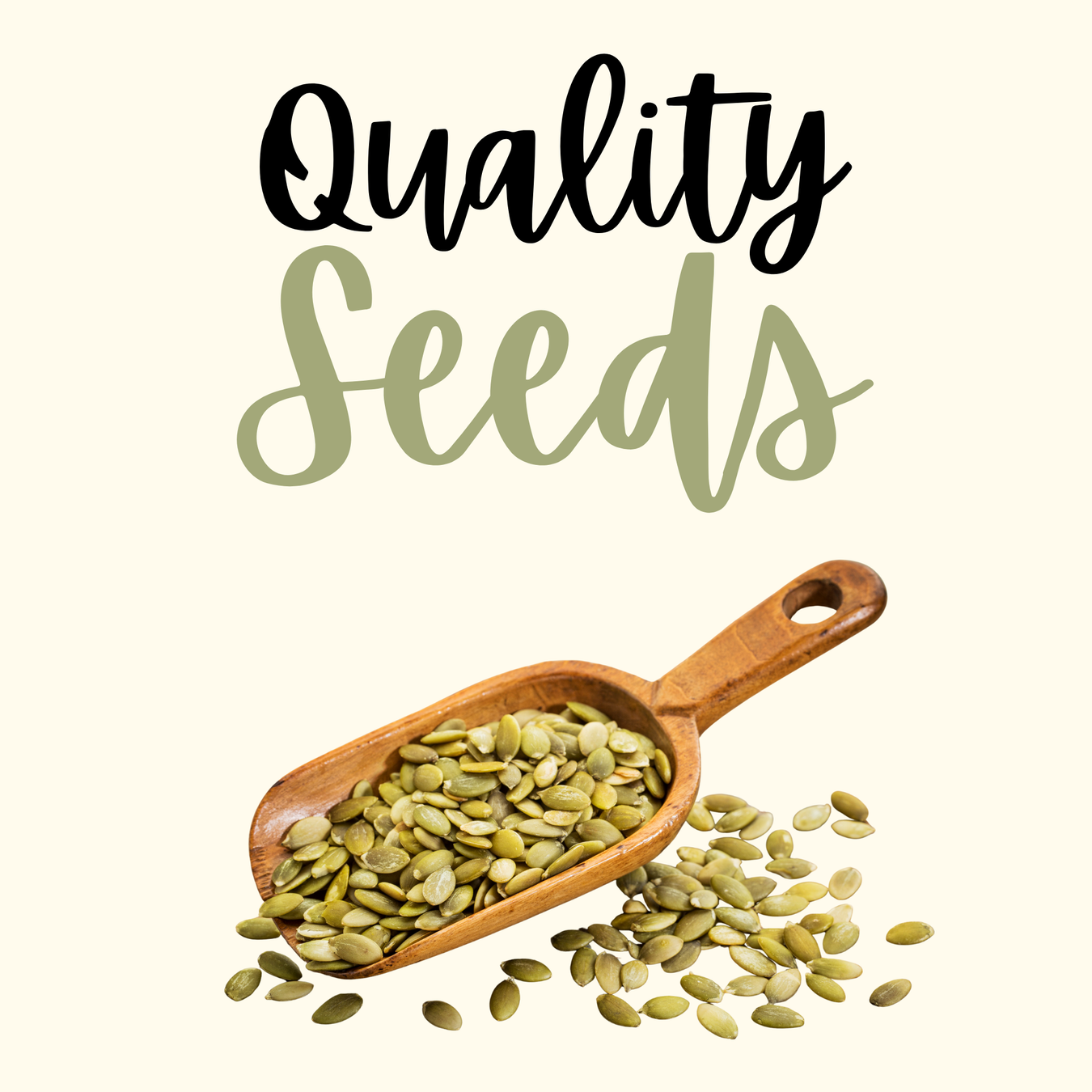 Healthy edible seeds including chia, pumpkin, sunflower, sesame (till), and flax