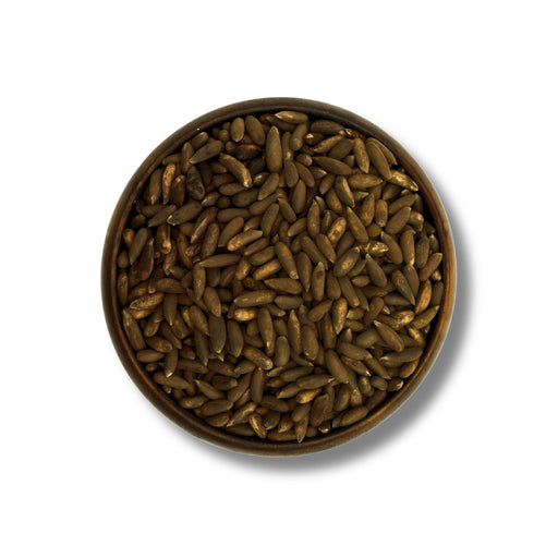 Afghani Chilgoza — Premium Long Pine Nuts