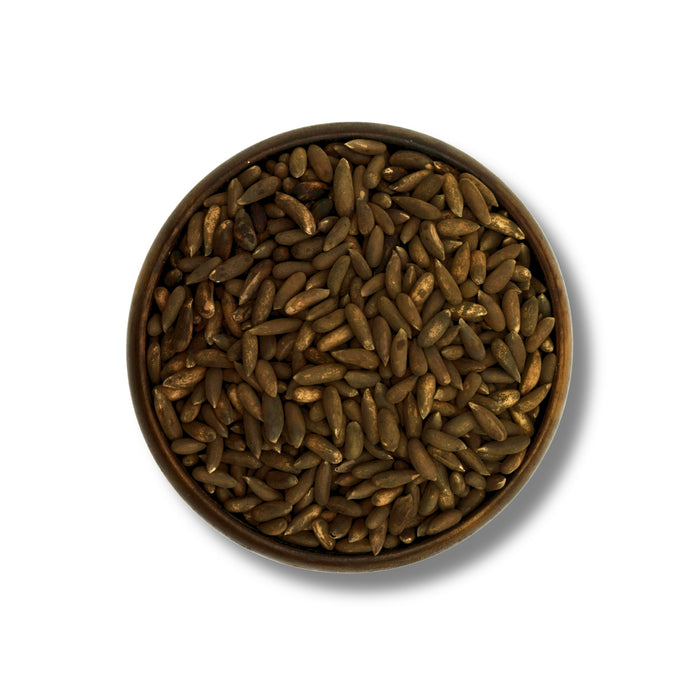 Afghani Chilgoza — Premium Long Pine Nuts