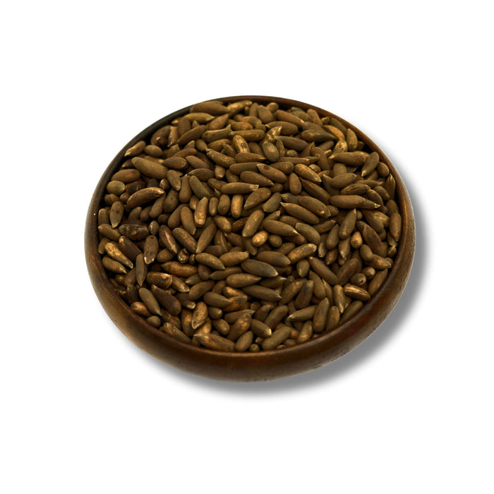Afghani Chilgoza — Premium Long Pine Nuts
